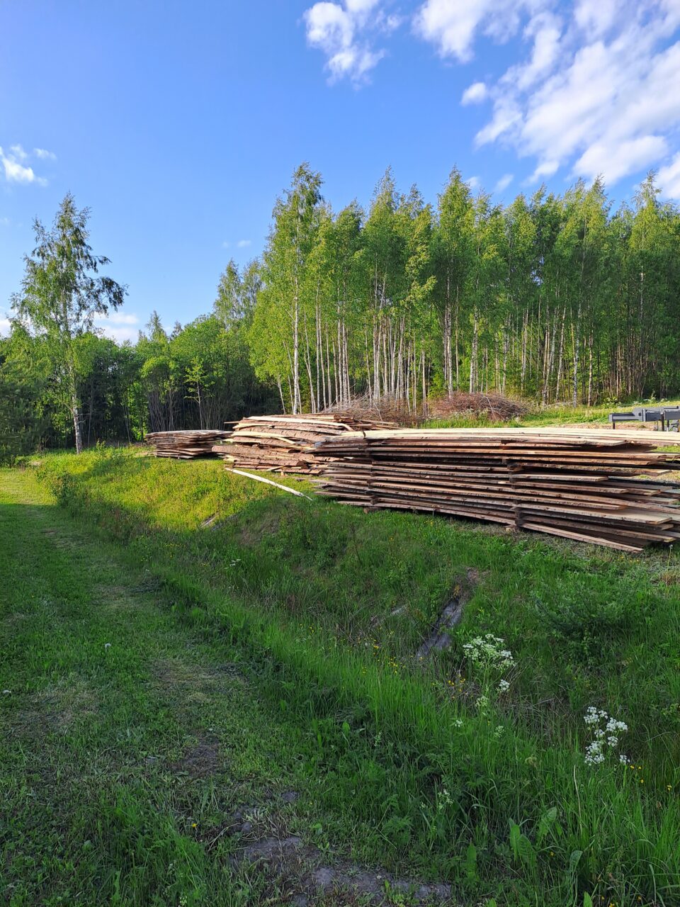 Lauad virnas metsa vahel.